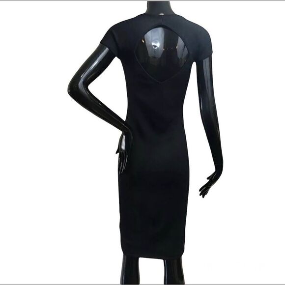 Ralph Lauren Black Label Bodycon Stretch Dress Size Small - Picture 3 of 5